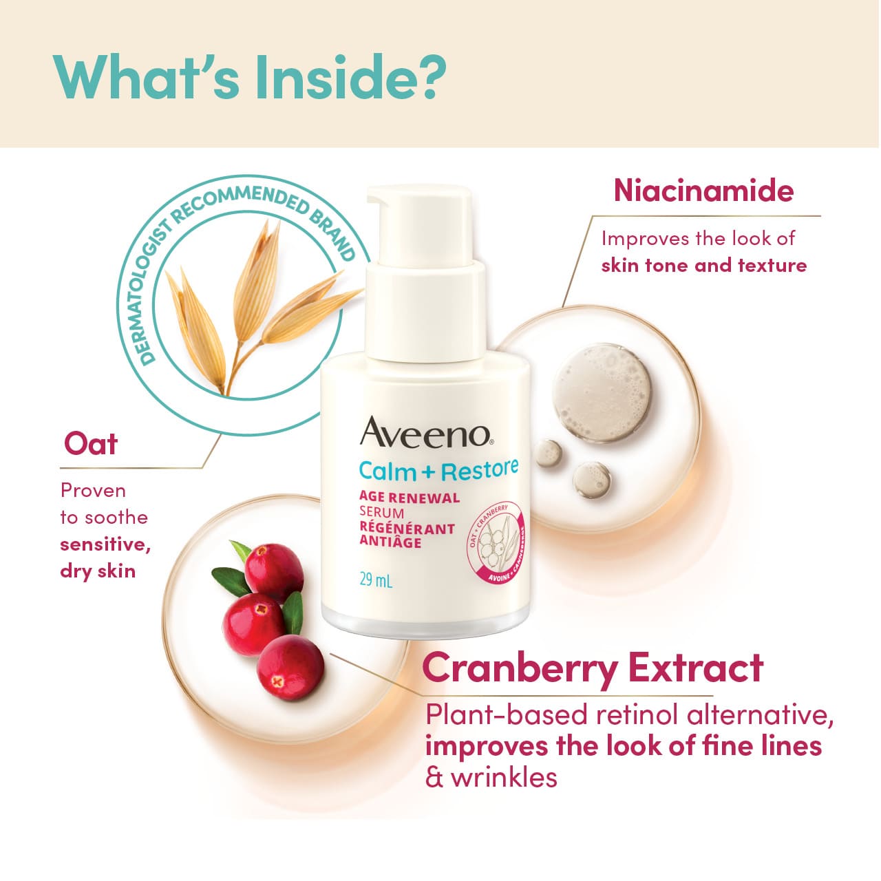 AVEENO® Calm + Restore Age Renewal Serum’s ingredients; oat, niacinamide, cranberry extract and their benefits.