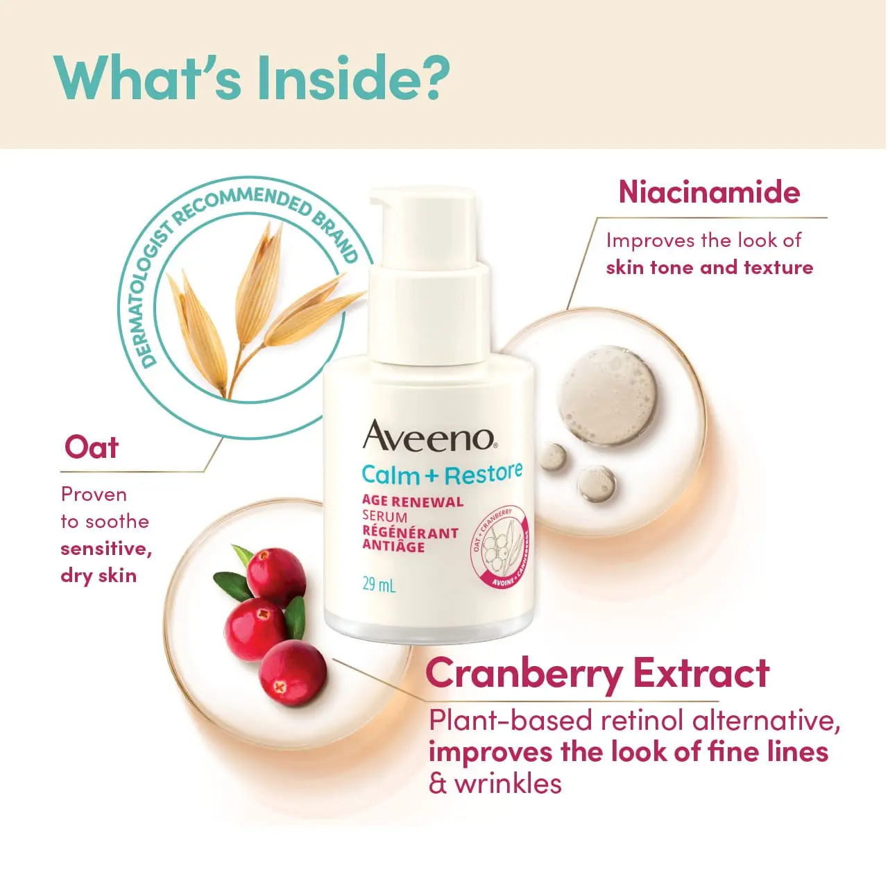 AVEENO® Calm + Restore Age Renewal Serum’s ingredients; oat, niacinamide, cranberry extract and their benefits.