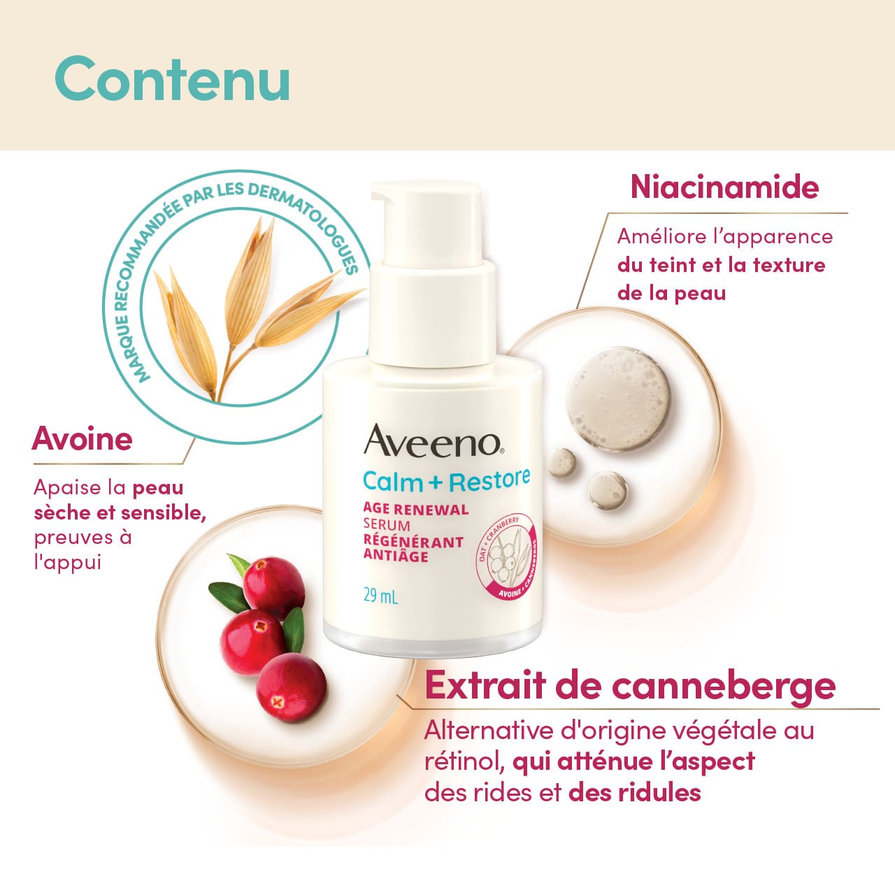 Ingrédients du sérum régénérant antiâge Aveeno® Calm + Restore : avoine, niacinamide, extrait de canneberge et leurs bienfaits.