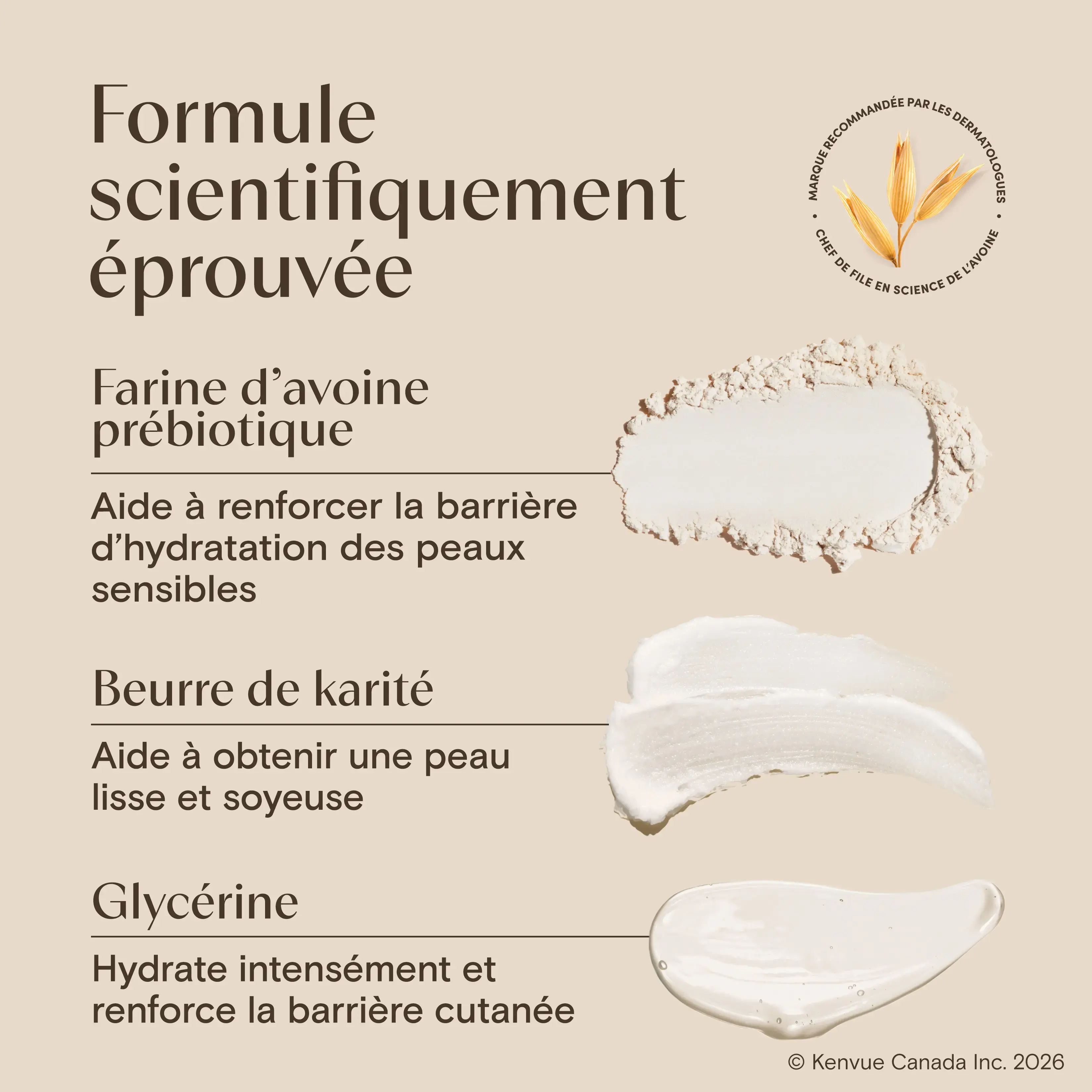 AVEENO Daily MoisturizingMC Body Wash Shea Butter Berry Scent