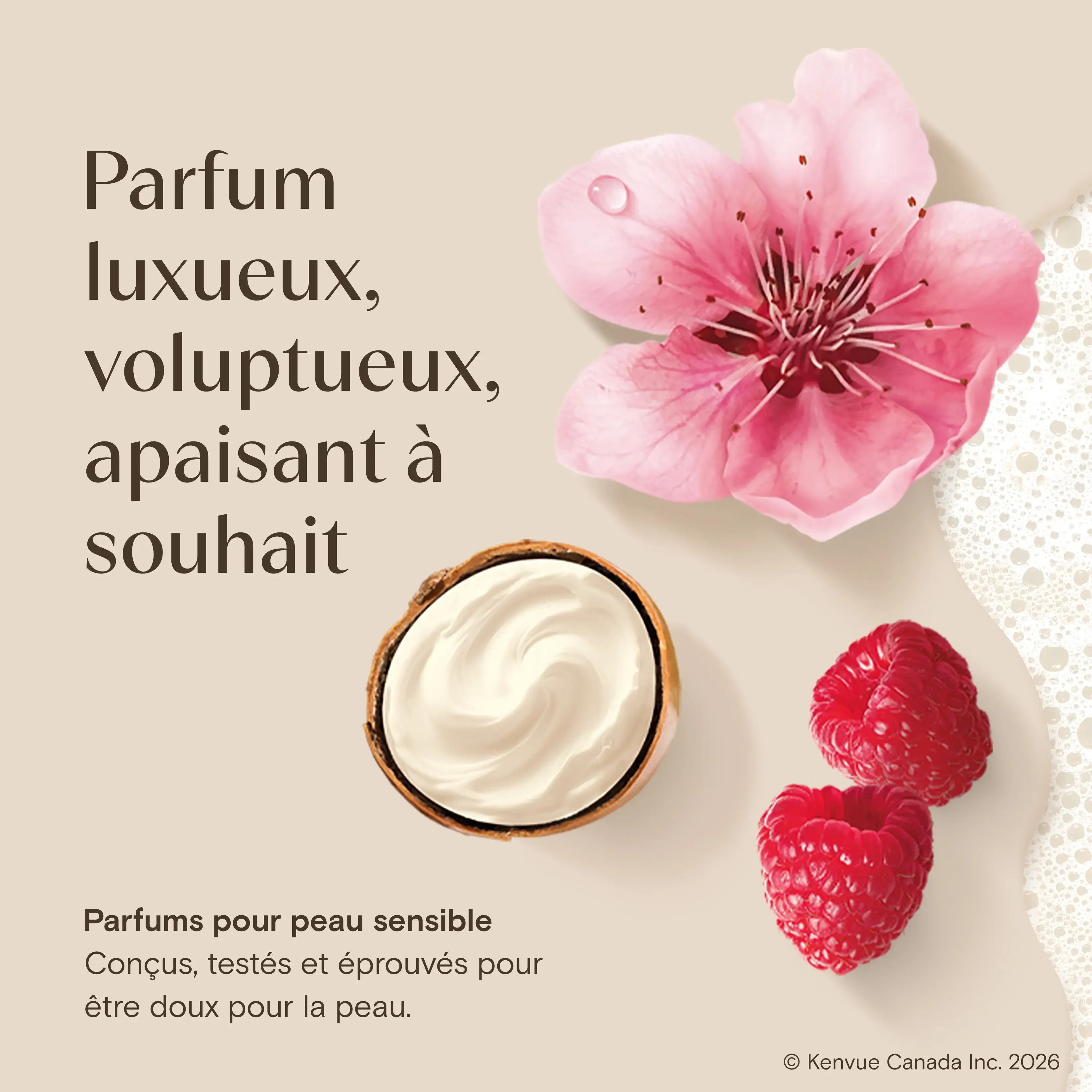 AVEENO Daily MoisturizingMC Body Wash Shea Butter Berry Scent