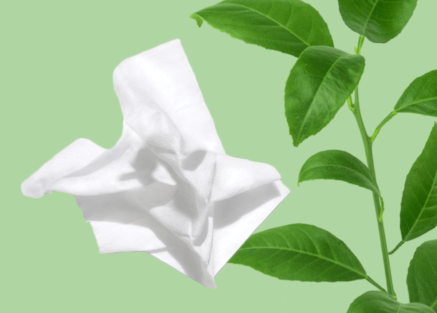 Lingettes Neutrogena compostables à base de plantes