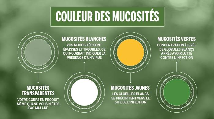 Graphique expliquant les différentes couleurs des mucosités et leurs significations