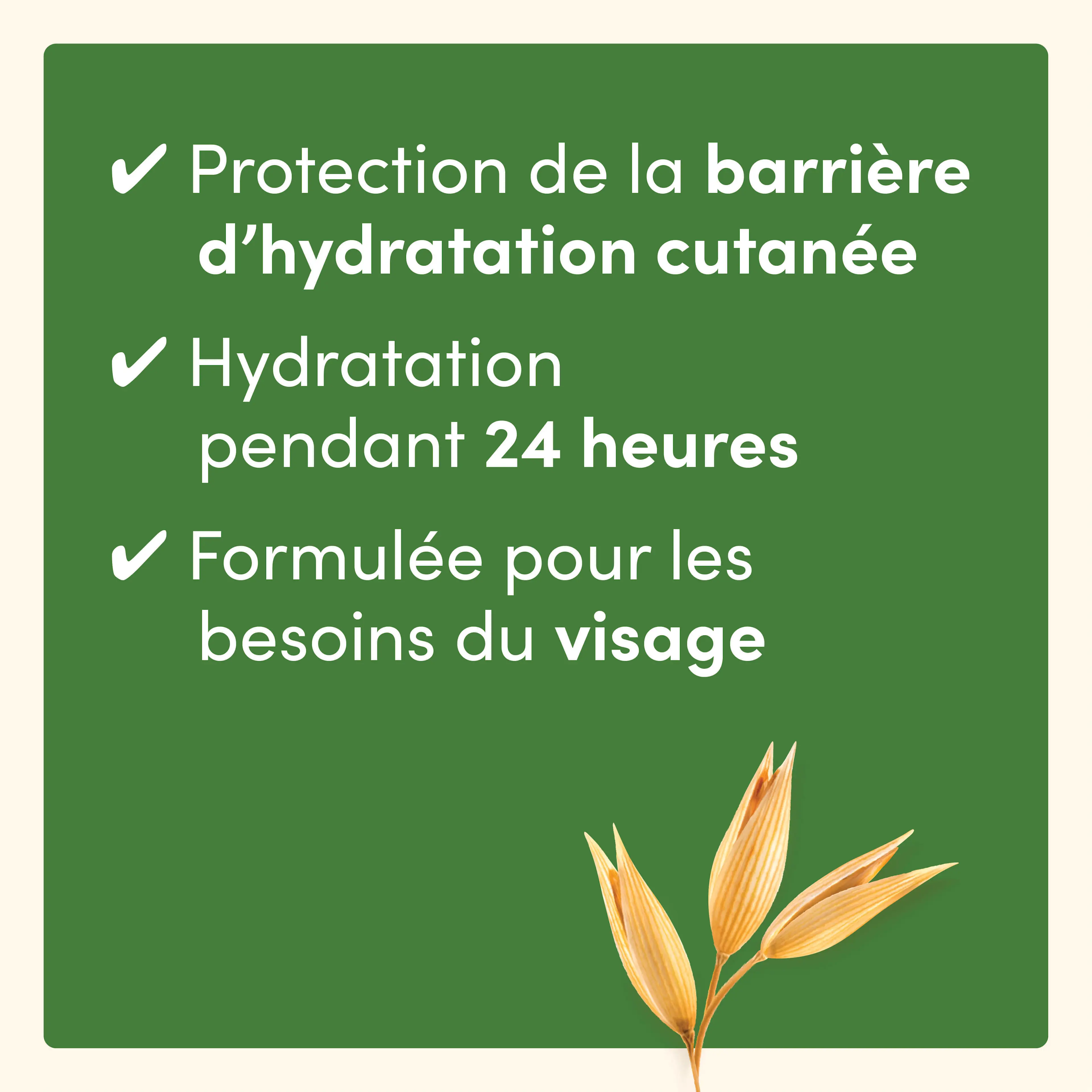 Branche d’avoine avec allégations pour le produit Aveeno en arrière-plan