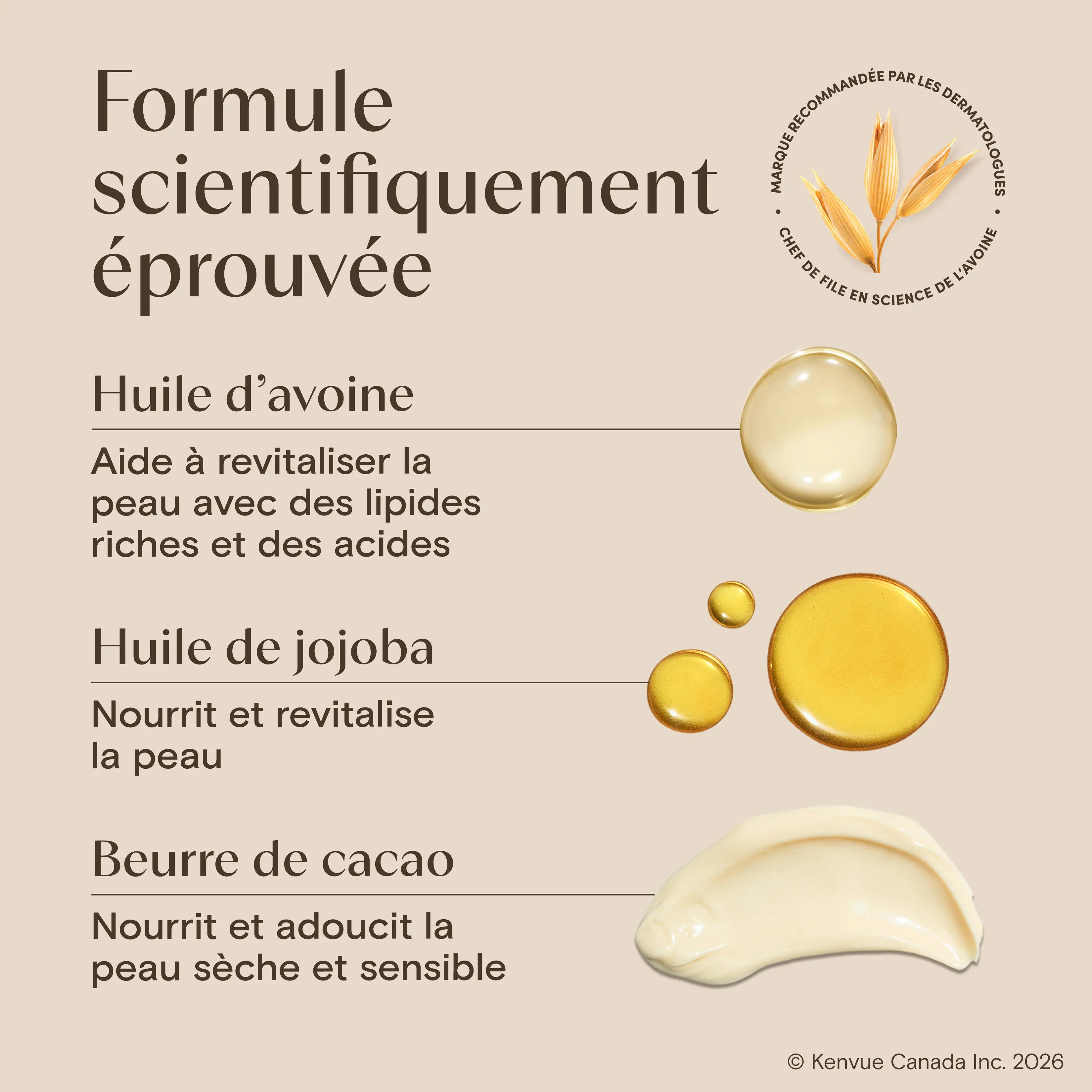 BodyOil CocoaButter Vanilla