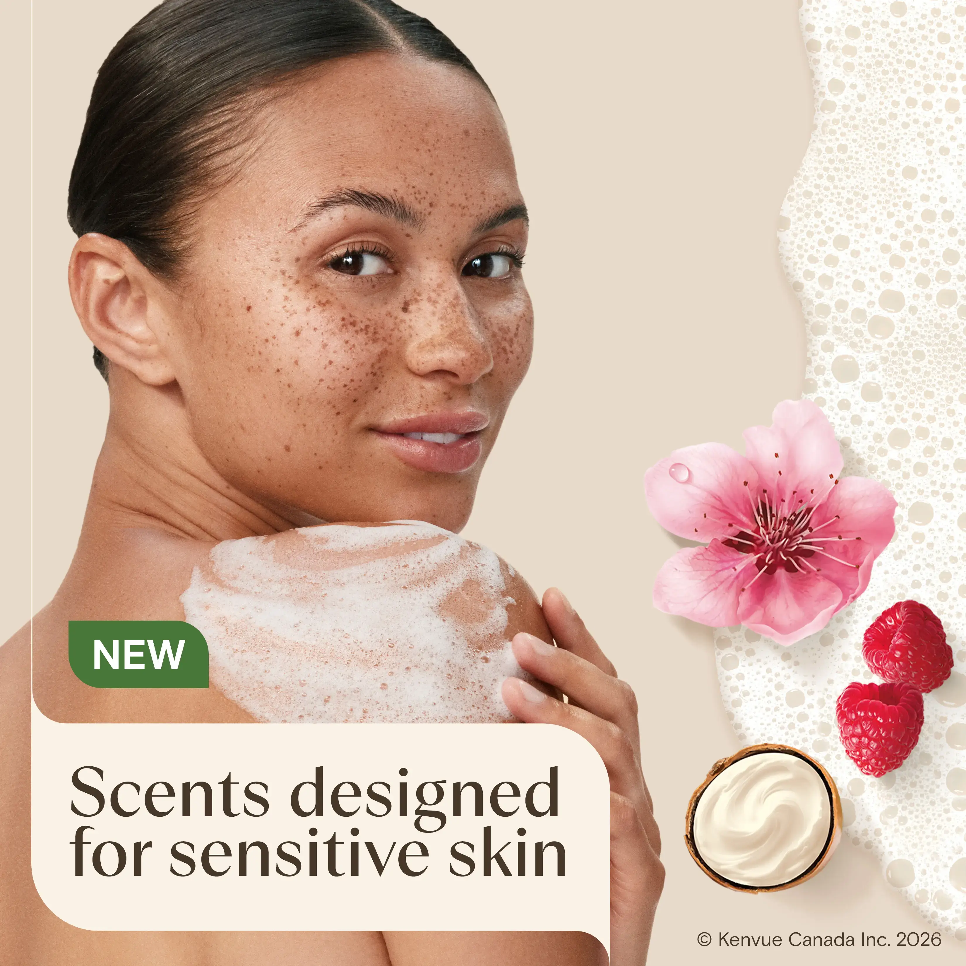 AVEENO Daily Moisturizing™ Body Wash Shea Butter Berry Scent