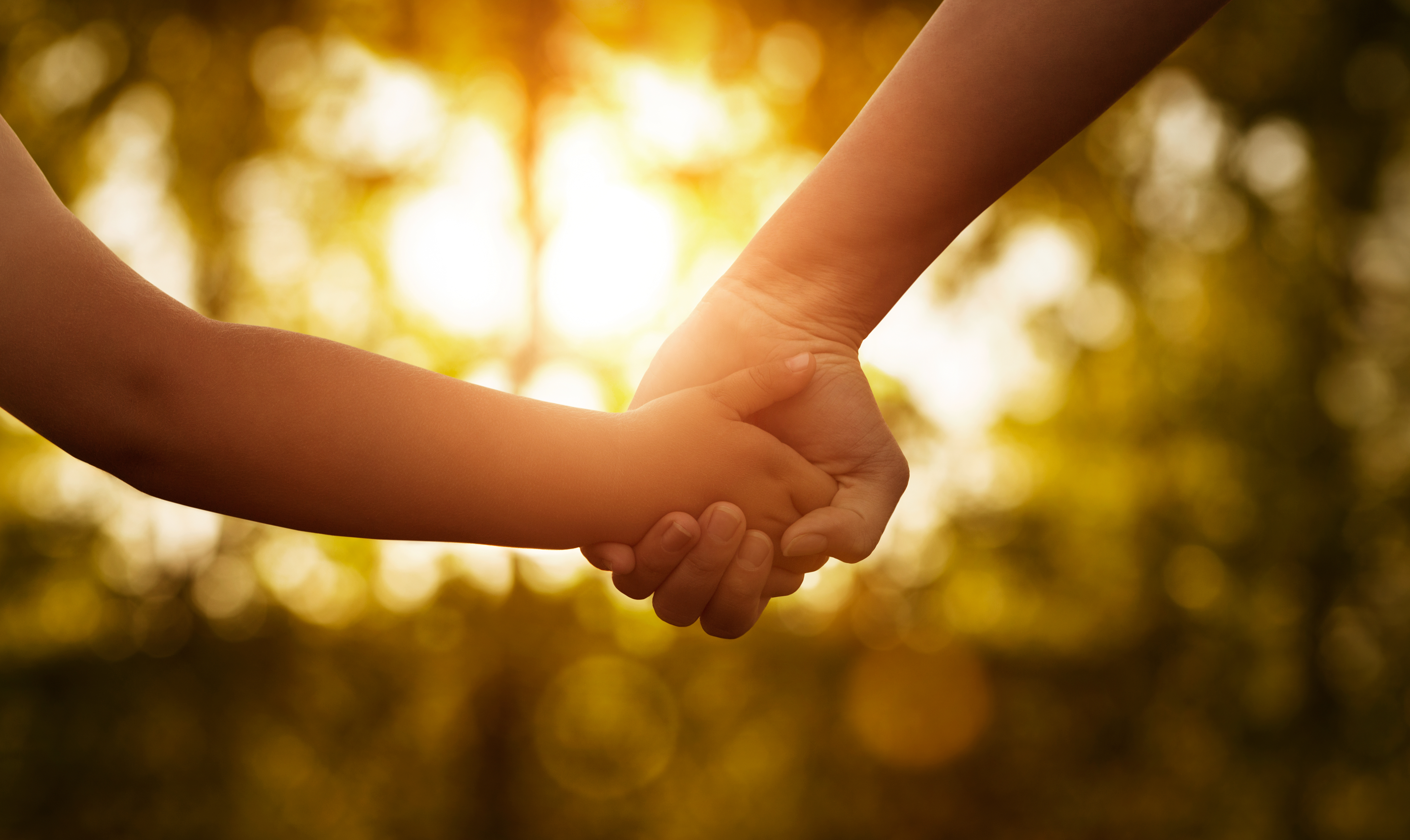 Un enfant qui tient la main de son parent