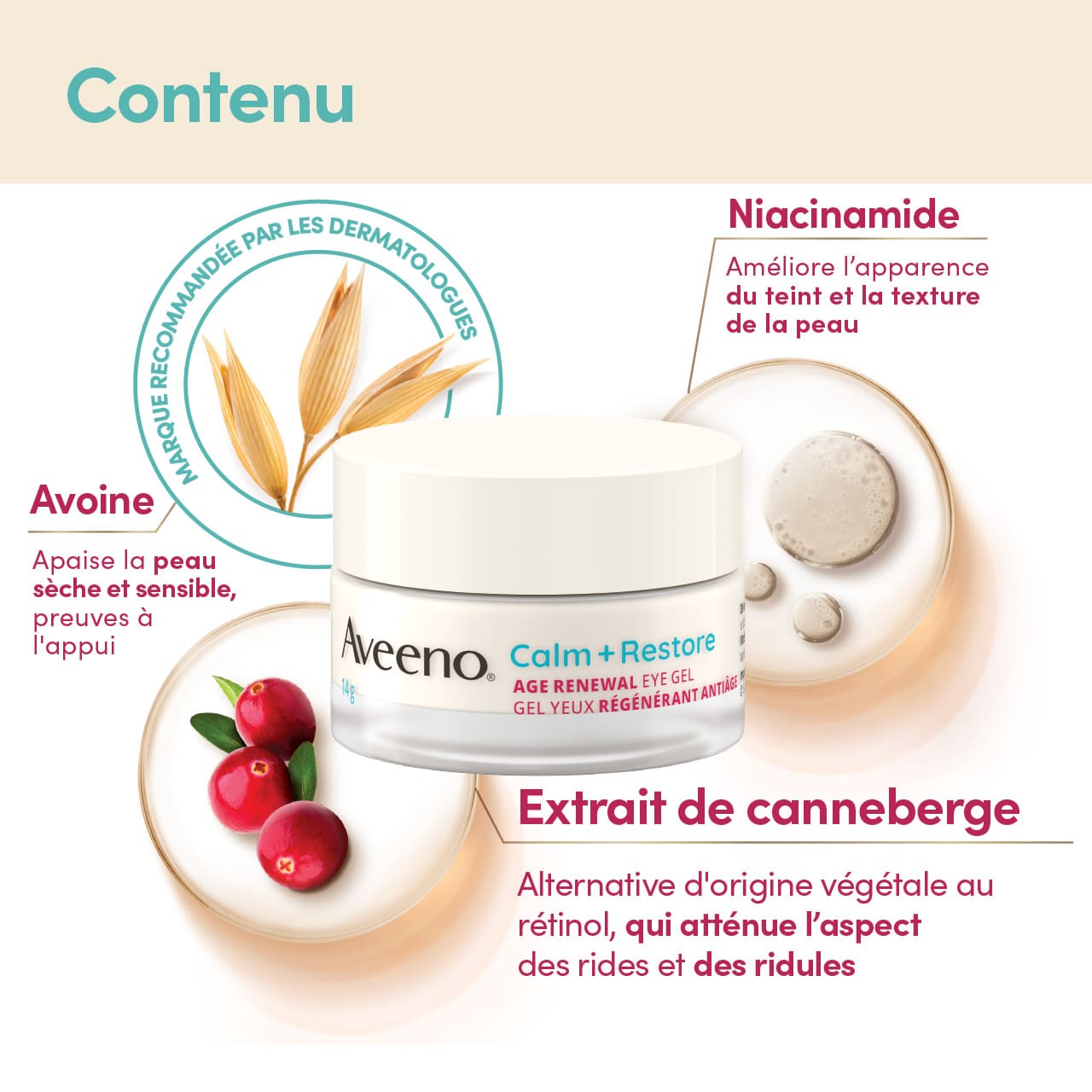 Gel Yeux régénérant antiâge Aveeno® Calm + Restore, pot en verre de 14 g, avec les ingrédients suivants : avoine, niacinamide, extrait de canneberge et leurs bienfaits.