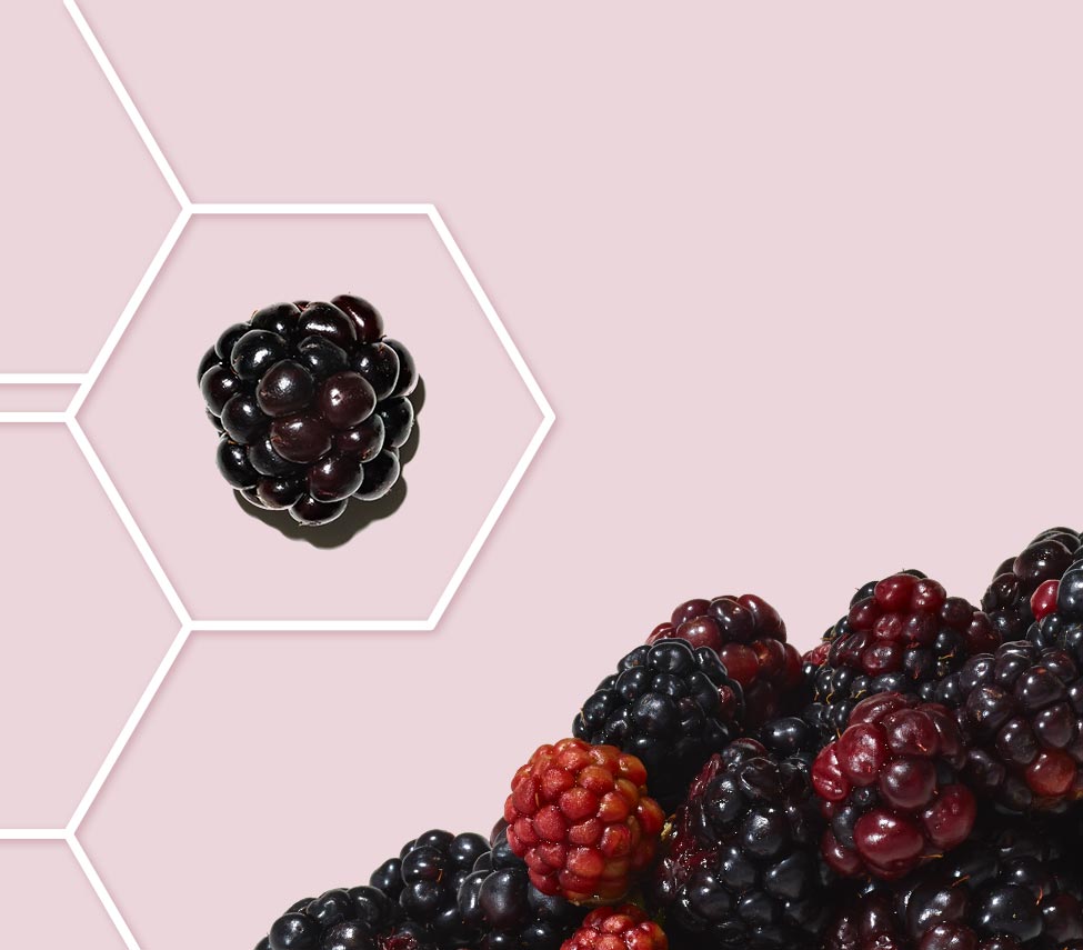 blackberry inside a molecule grid outline against a pink background