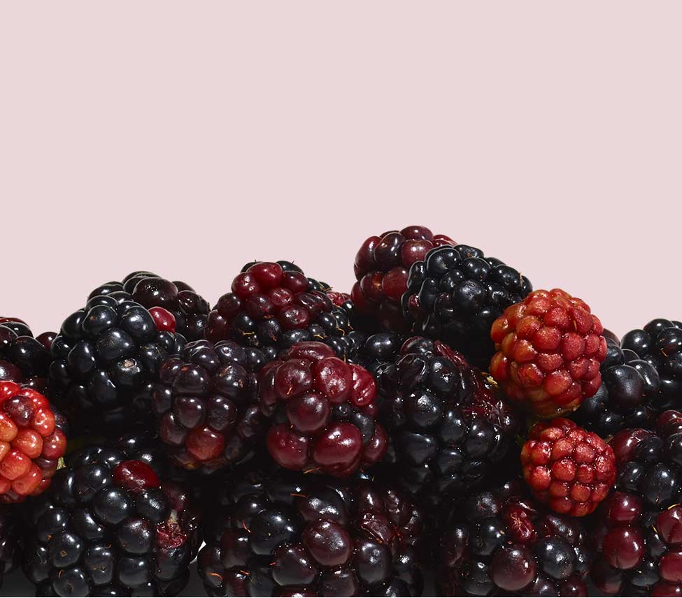 pile of berries against a pink background