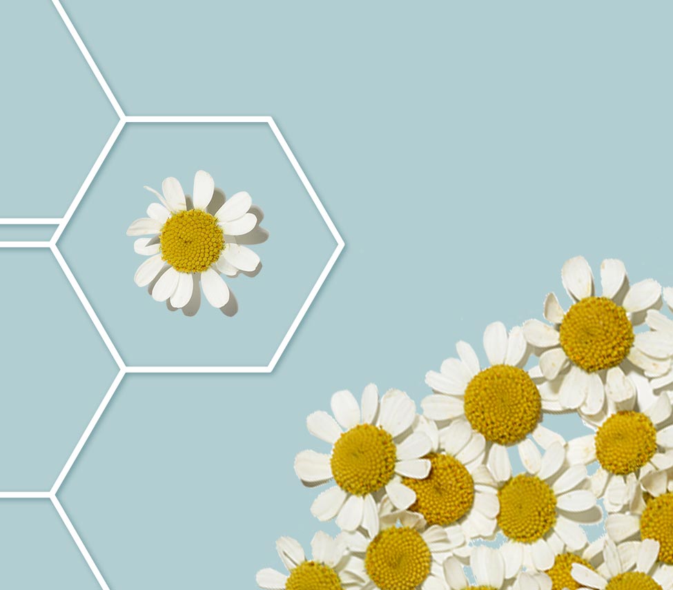 flower inside a molecule outline against a light blue background