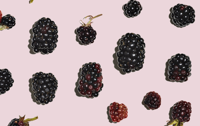 blackberry grid flatlay