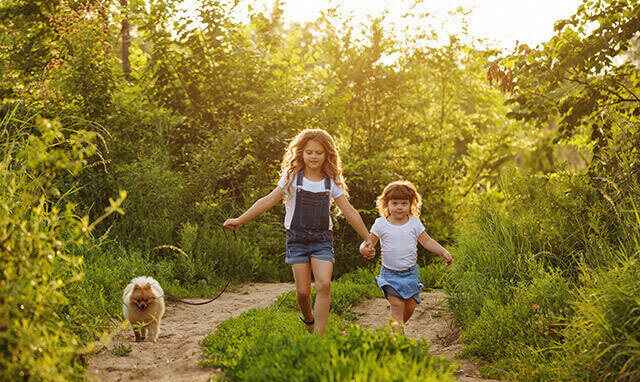 Frères et sœurs promenant leur chien sur un chemin à l’extérieur