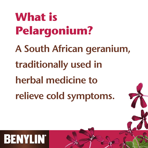 What is Pelargonium 