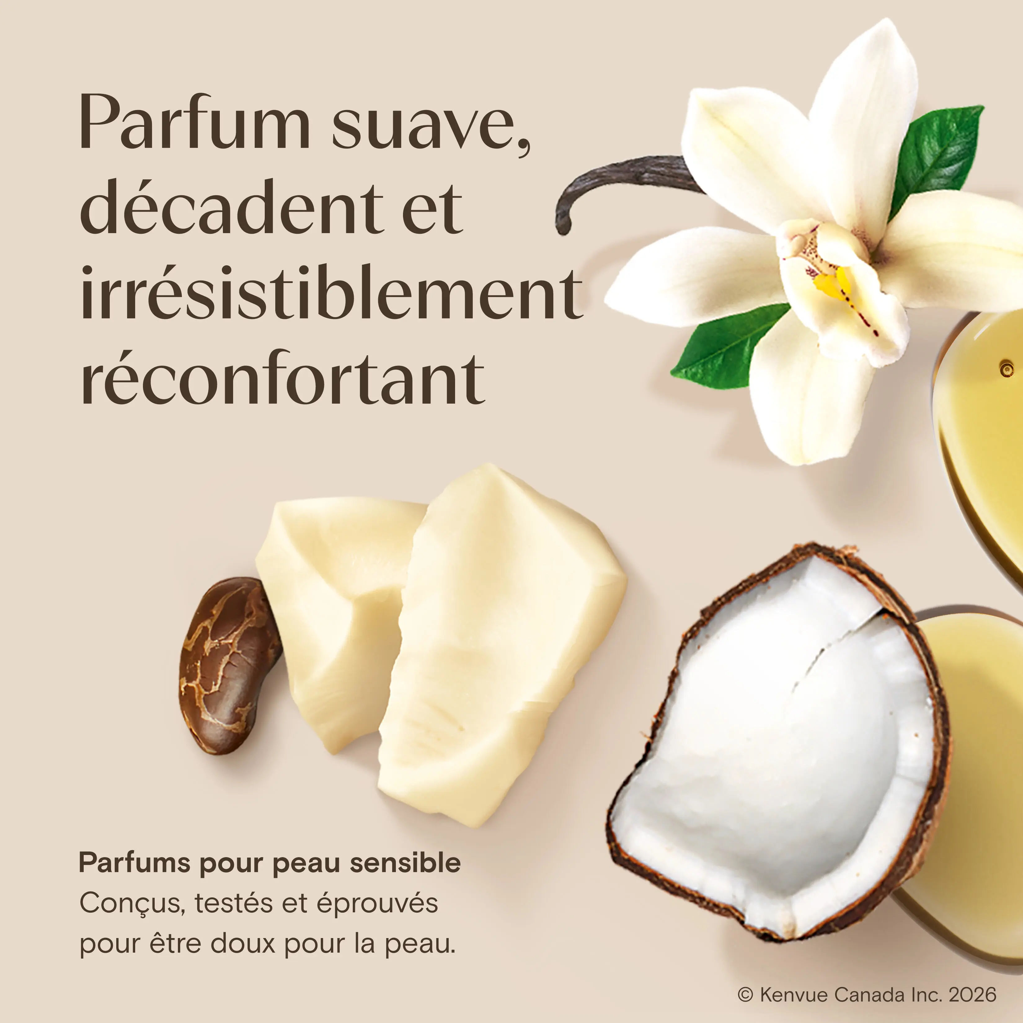 BodyOil CocoaButter Vanilla