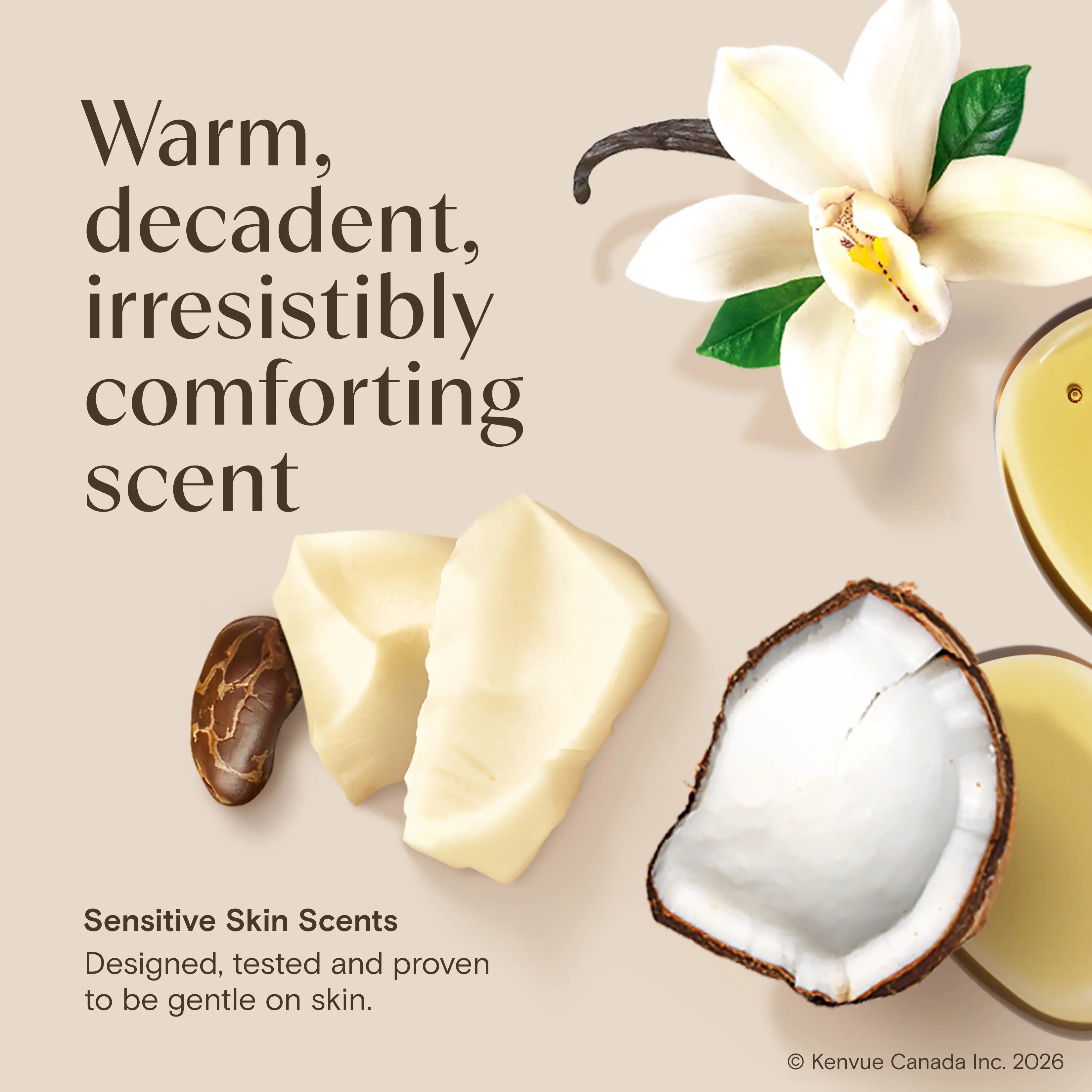 BodyOil CocoaButter Vanilla