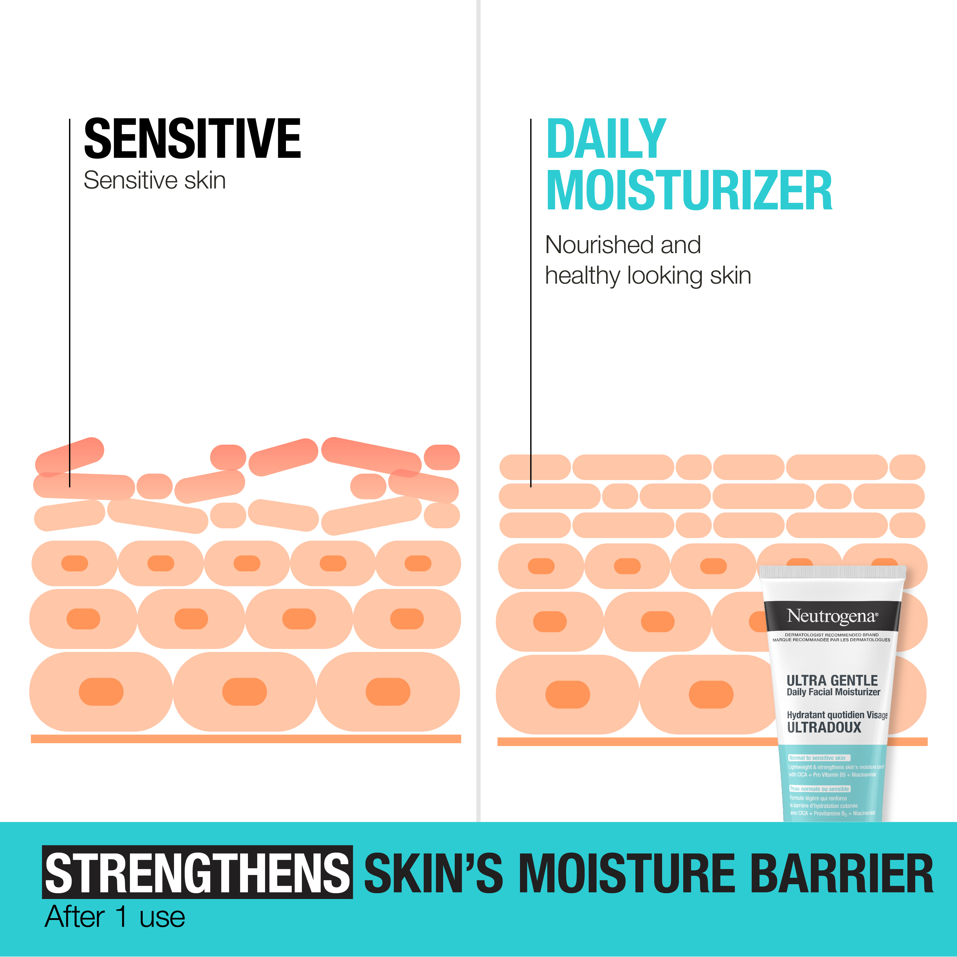 Illustration of how Neutrogena® Ultra Gentle Moisturizer strengthens sensitive skin's moisture barrier after one use