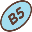 B5 icon