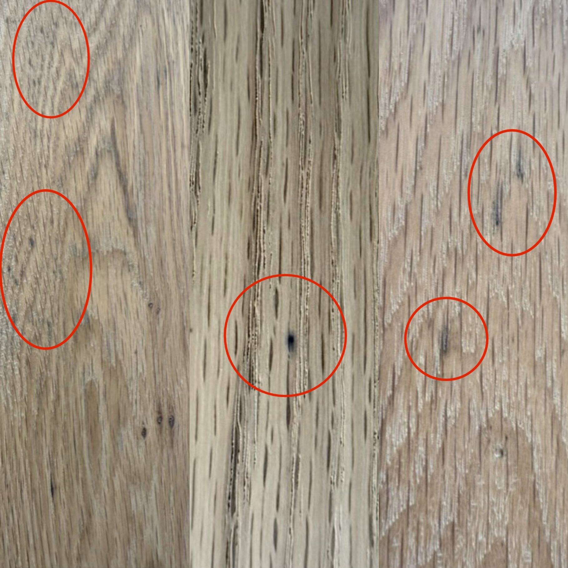 Tannins in Wood Examples