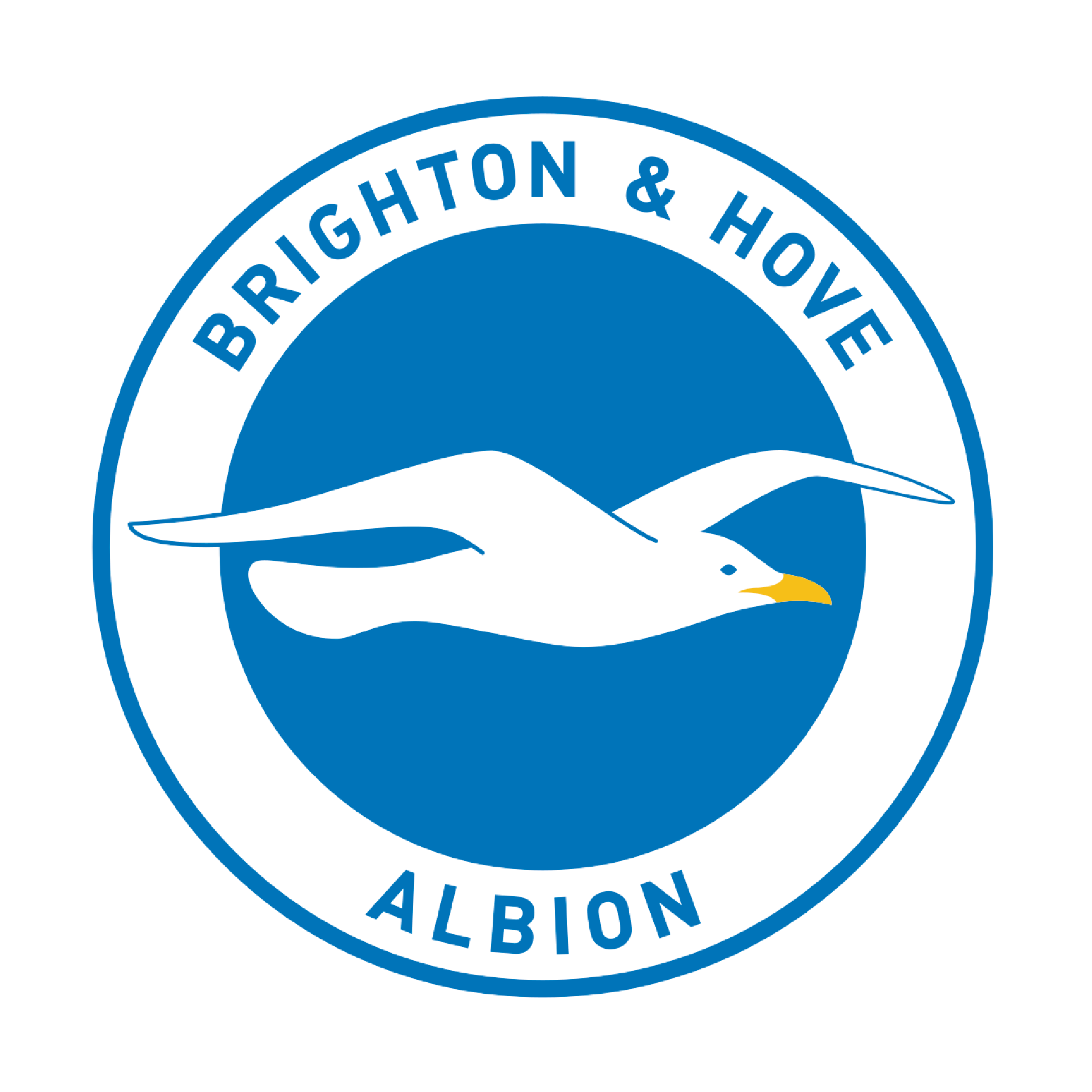 Brighton & Hove Albion