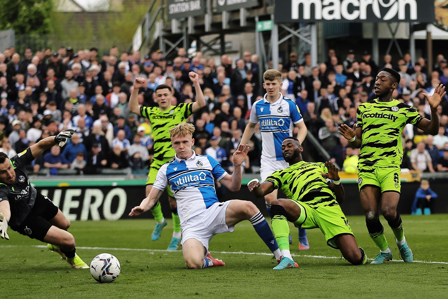 Preview: Bristol Rovers (A) | WE ARE FGR