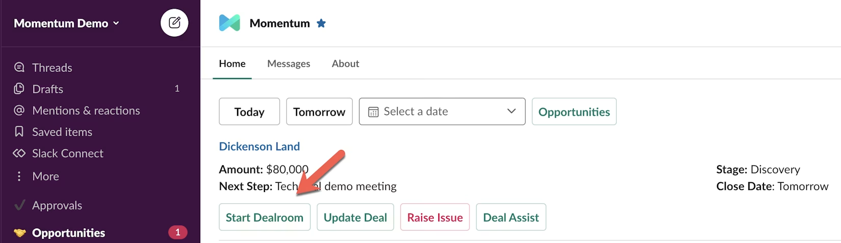 momentum-review-11