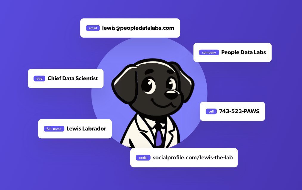 people-data-labs-api-review-2