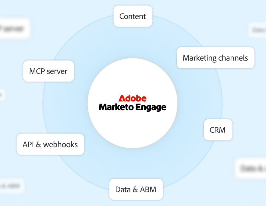 constant-contact-vs-marketo-26