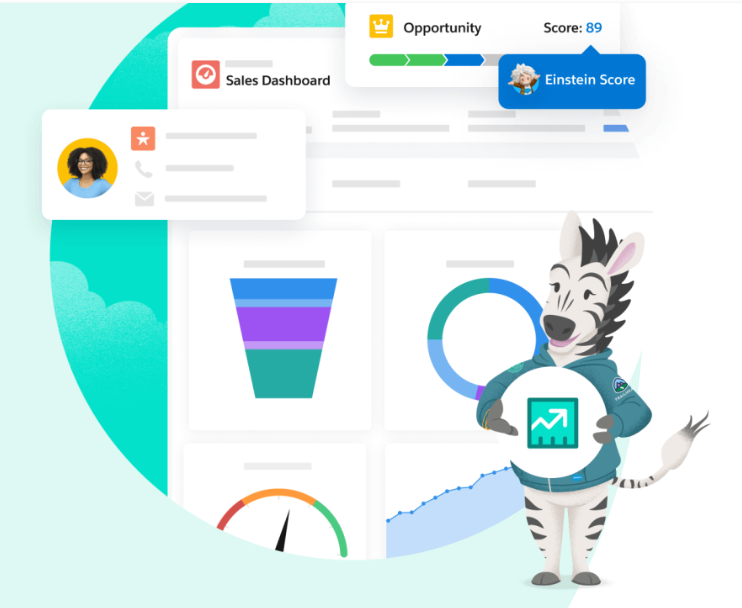 salesforce-vs-taskray-1