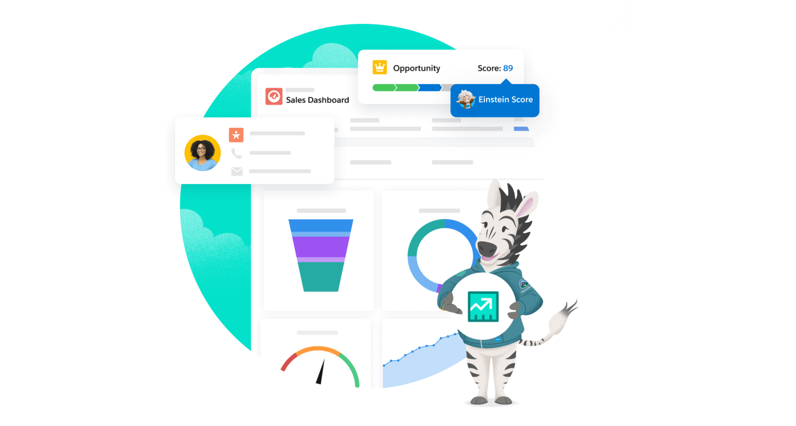 nutshell-vs-salesforce-4