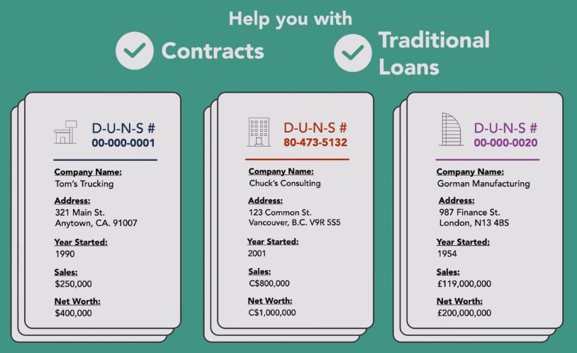 creditsafe-vs-dnb-8