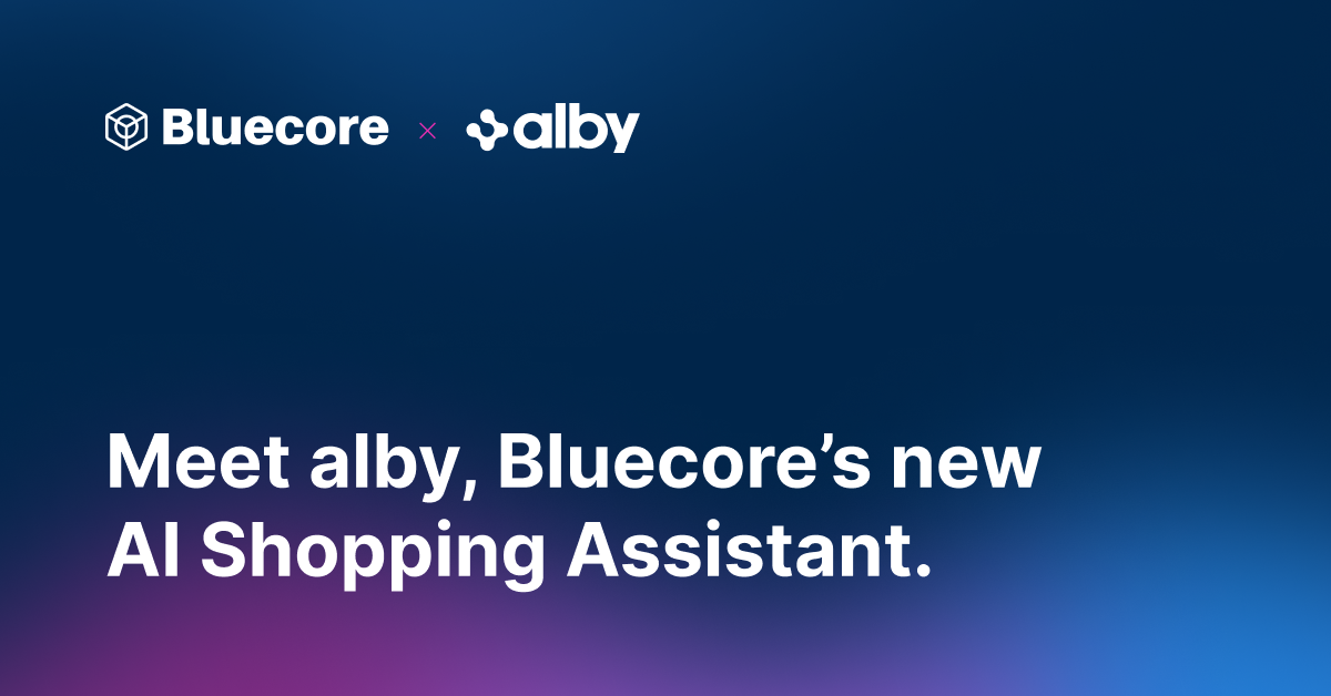 bluecore-review-9