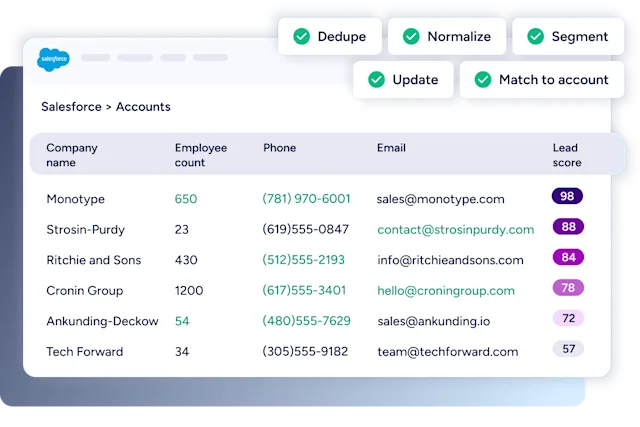 Salesforce accounts view with Dedupe, Normalize, Segment, Update, Match to account badges