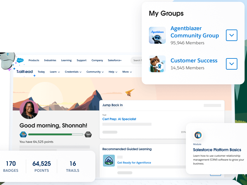 salesforce-api-4