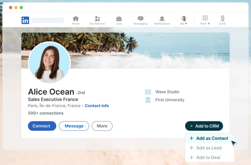 surfe-review-2