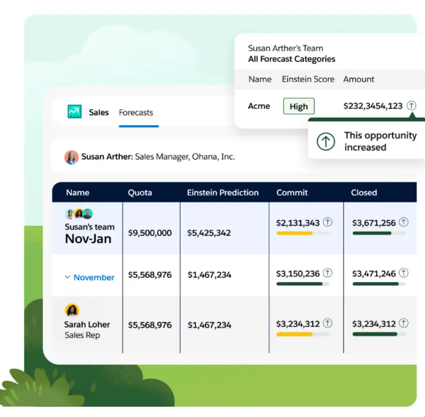 altify-vs-salesforce-19