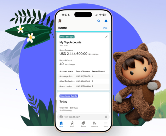 salesforce-vs-salesnow-4