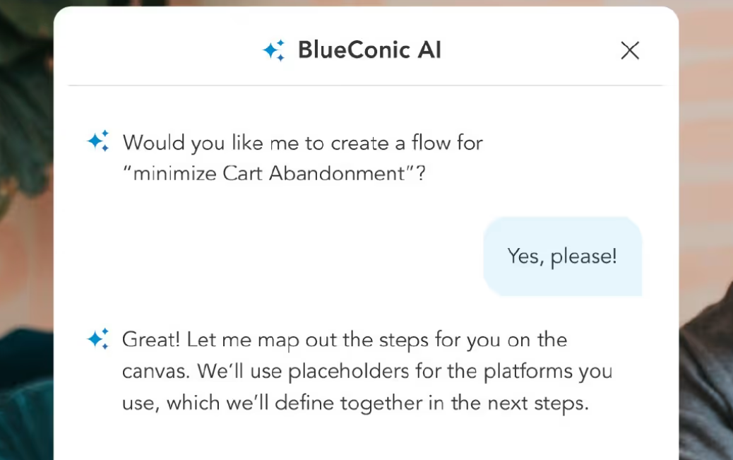 blueconic-review-5