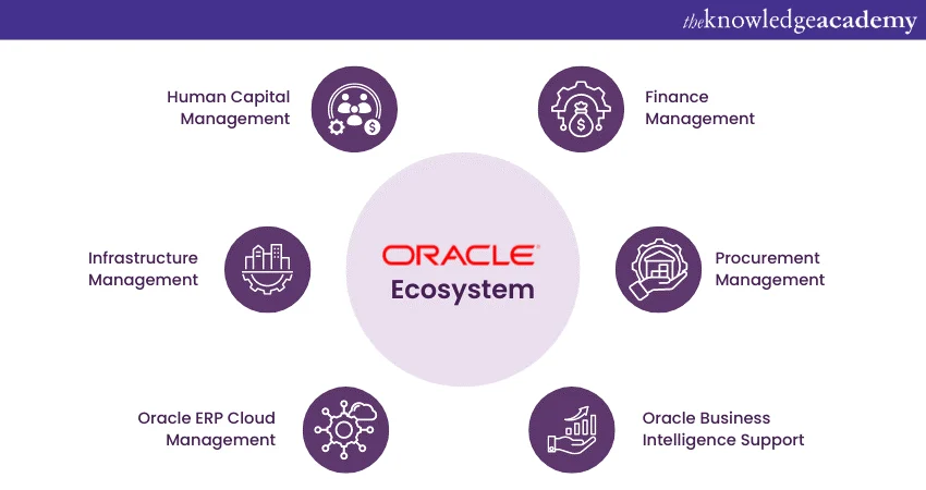 oracle-cx-vs-salesforce-15