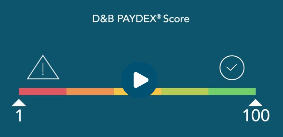 creditsafe-vs-dnb-2