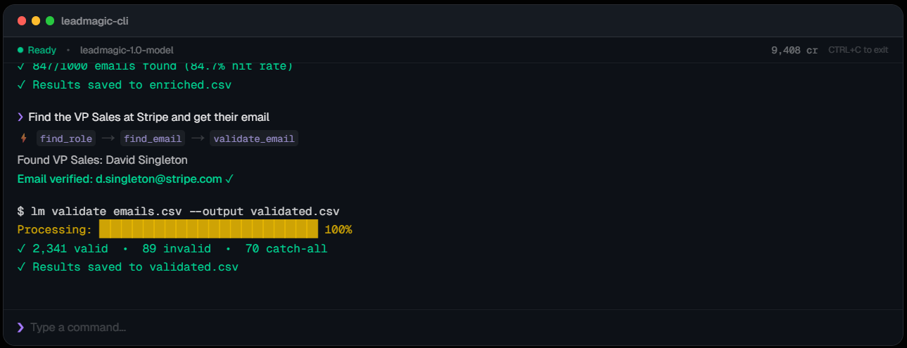 leadmagic-review-image4