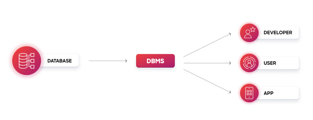 What is a database management system visual explainer.