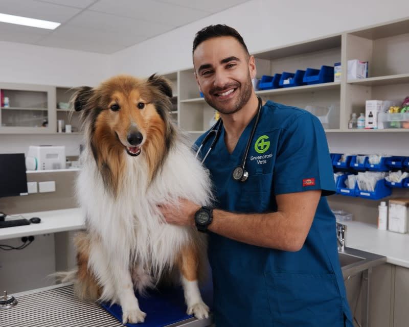 Greencross Vets