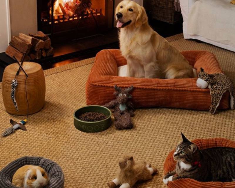 Petbarn
