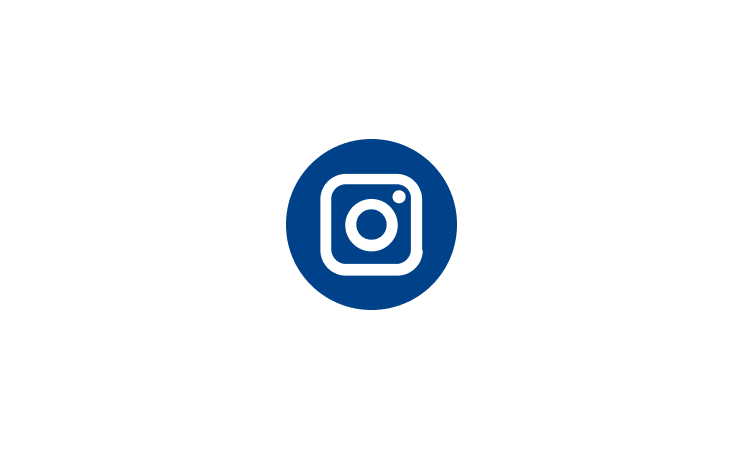 Instagram icon