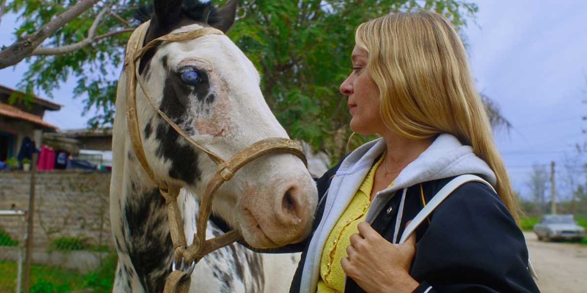 Magic Farm - Sundance 2025