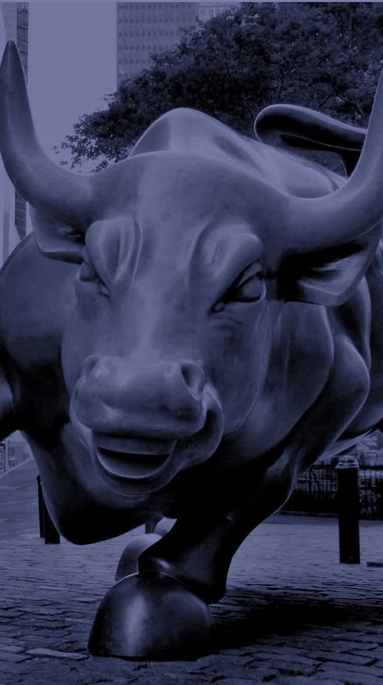 Wall street bull image