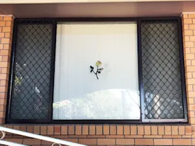 Diamond + Fly Window Screen