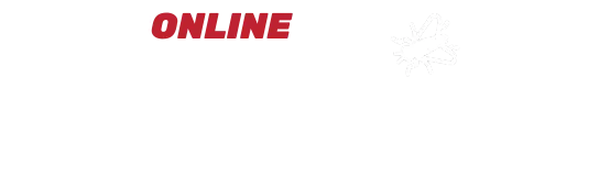 Flexi-Fly