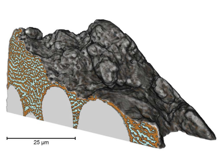 Significantly better performance and  results than standard submicron CT. NanoCT provides - better than polish cut images - 3D Data about precise volume  information e.g. of different phases.